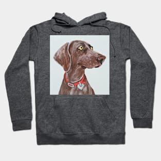 Bella Blue the Weimaraner Hoodie